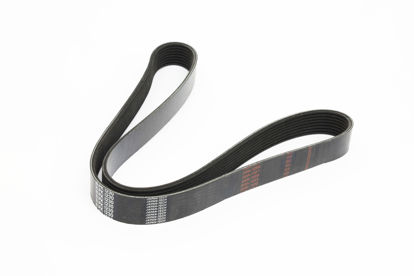 Imagem de 8PK1230 - CORREIA - POLY V - CTP-USA
