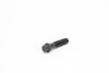 Imagem de 0532294 - PARAFUSO - 12PT - CTP-USA