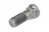 Imagem de 5P8823 - PARAFUSO - LAMINA 109MM - INGEPAL