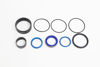 Imagem de 2342593 - REPARO - CILINDRO LEVANT - WORLD GASKET