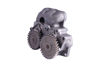 Imagem de 10113 - BOMBA - OLEO MWM D229/TD229 (DUPLA) - SCHADEK