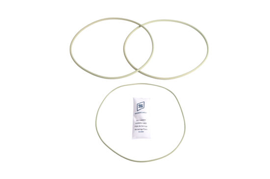 Imagem de 50006601 - ANEL - CAMISA SILICONE (KIT COMPLETO) OM 447/449 - KSPG