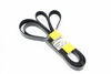 Imagem de 8PK2860 - CORREIA - POLY V - CTP-USA
