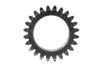Imagem de 3S7504 - ENGRENAGEM - 24 DENTES - GHINASSI