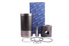 Imagem de 97185961 - KIT - MOTOR MWM TD-229 45081 (KS) K1225 - KSPG