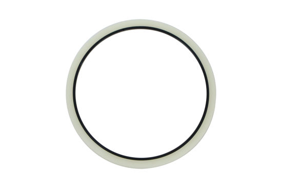 Imagem de 1672215 - GAXETA - FORTRACTOR PARTS