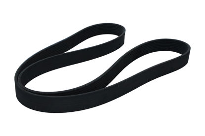 Imagem de 8PK1615 - CORREIA - POLY V - FORTRACTOR PARTS