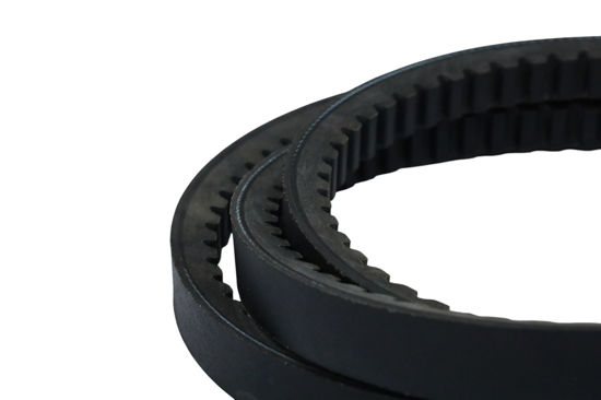 Imagem de 23X1955 - CORREIA - DENTADA - FORTRACTOR PARTS