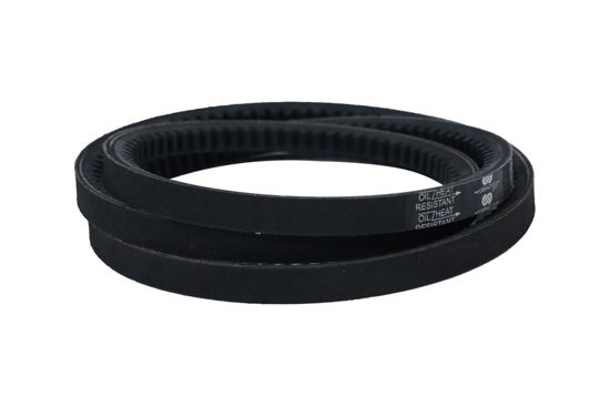 Imagem de 13X1450 - CORREIA - DENTADA - FORTRACTOR PARTS