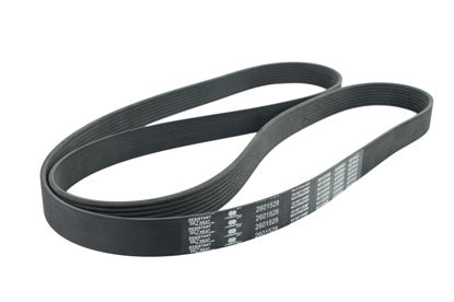 Imagem de 8PK2050 - CORREIA - POLY V - FORTRACTOR PARTS