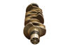 Imagem de 5261376 - VIRABREQUIM ISF 3.8 - FUNDIDO HRC 45 - FORTRACTOR PARTS