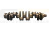 Imagem de 3918986 - VIRABREQUIM - 6CT C/ENGRENAGEM - FORTRACTOR PARTS