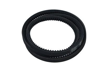 Imagem de 13X1450 - CORREIA - DENTADA - FORTRACTOR PARTS