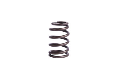 Imagem de 4360519 - MOLA - VALVULA - FORTRACTOR PARTS
