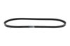 Imagem de 13X1016 - CORREIA - DENTADA - FORTRACTOR PARTS