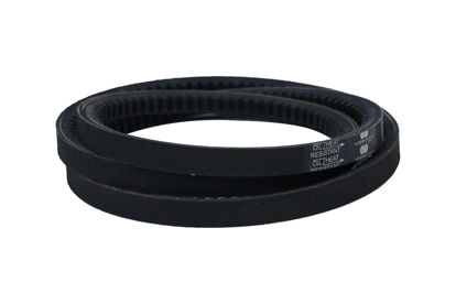 Imagem de 13X1450 - CORREIA - DENTADA - FORTRACTOR PARTS