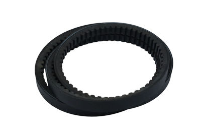 Imagem de 23X1955 - CORREIA - DENTADA - FORTRACTOR PARTS