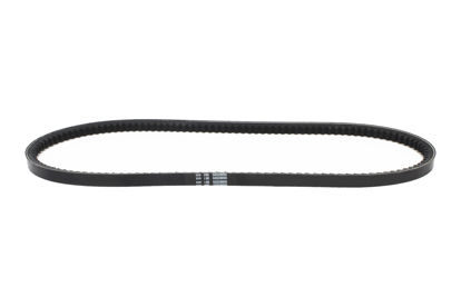 Imagem de 13X1016 - CORREIA - DENTADA - FORTRACTOR PARTS